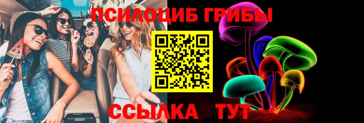 закладки  Вход с VPN  Воркута  Галлюциногенные грибы Psilocybine cubensis 