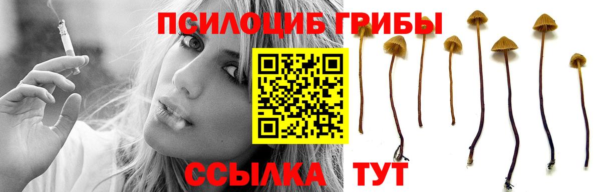Галлюциногенные грибы GOLDEN TEACHER Воркута